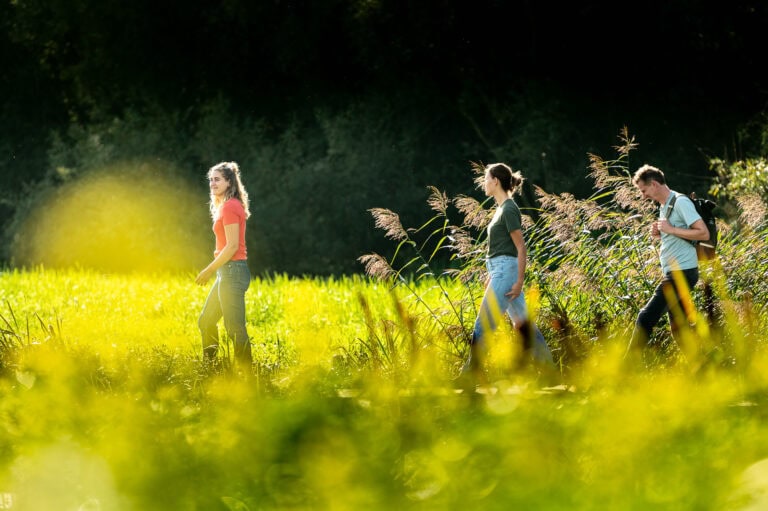 Mensen lopen in de zon bij een rietkraag