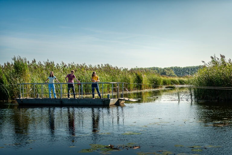 Mensen op een trekpontje